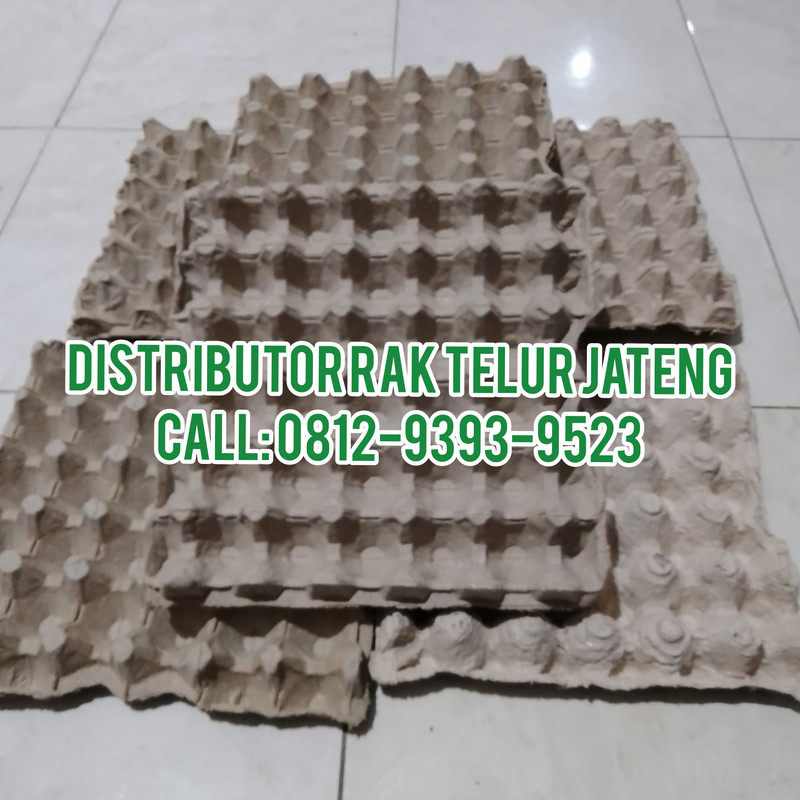 TERMURAH, CALL: 0812-9393-9523, Harga Rak Telur Ayam Yahukimo