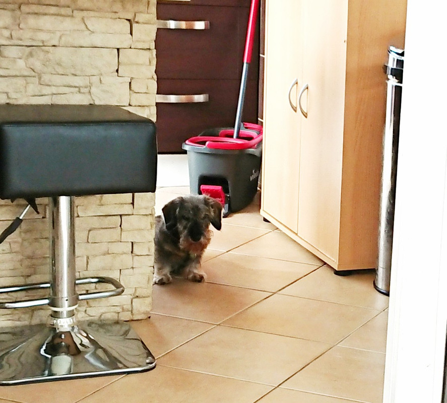 [Image: 20231004-120846.jpg]