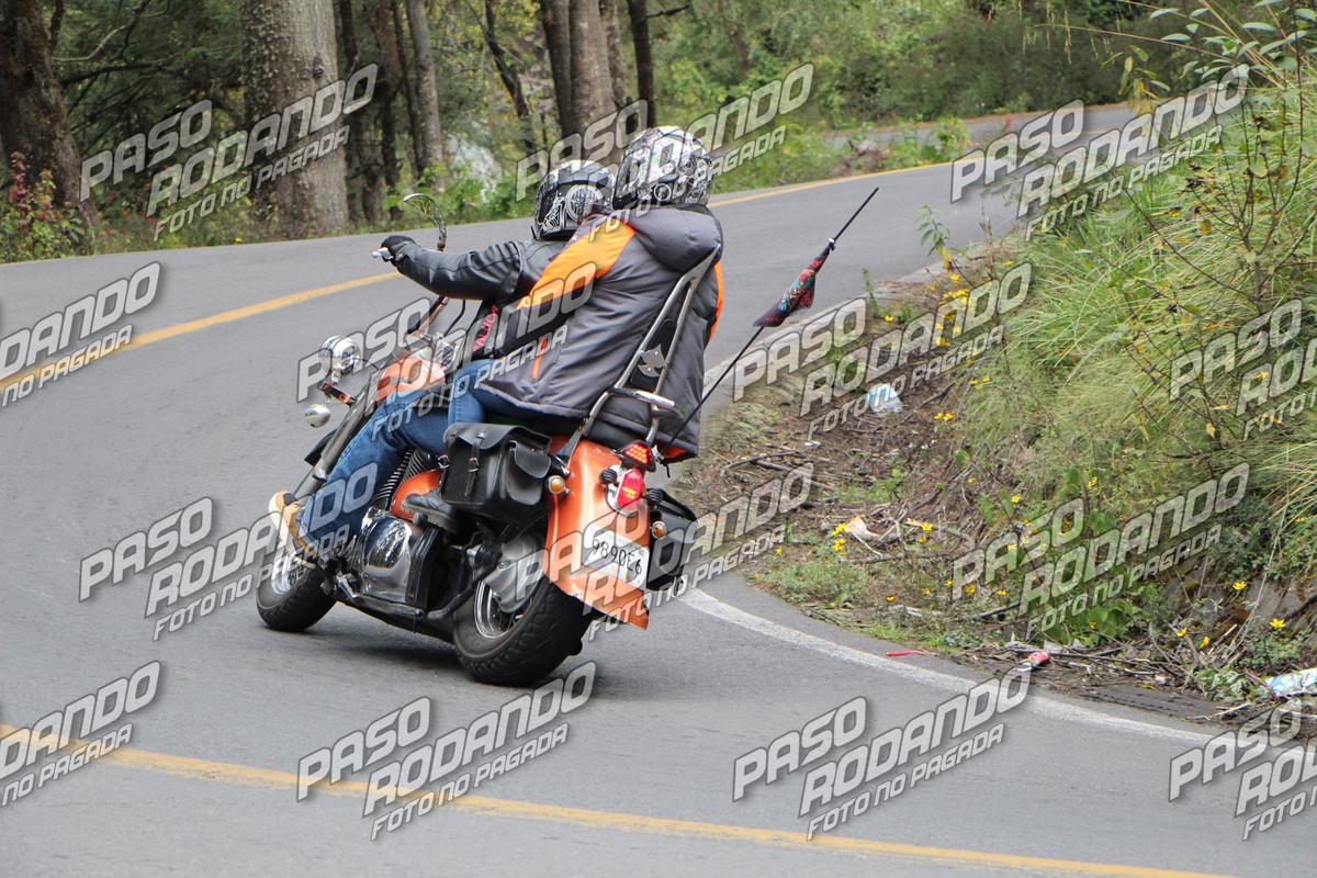 IMG 7497 wm 2081086 5 watermarked — Postimages
