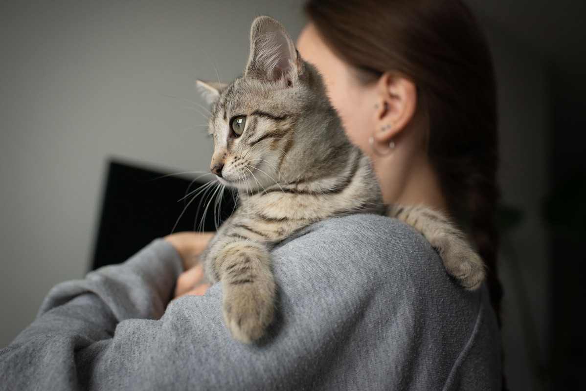 6458A406-FE33-43A7-AFCB-2C9F39EDED95