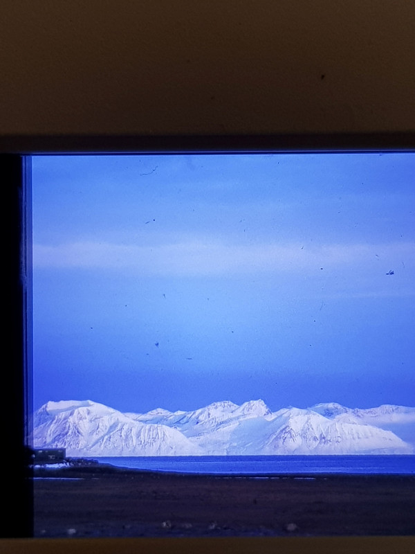 SVALBARD BANCHISA 20210224_172120