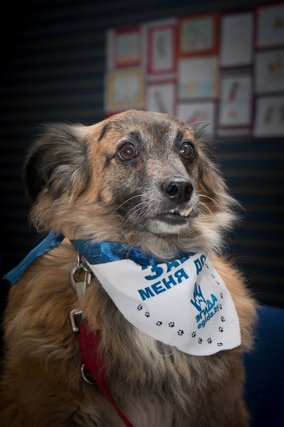 3A41FB7D-F9A0-4452-B5F9-BC2EABC68814