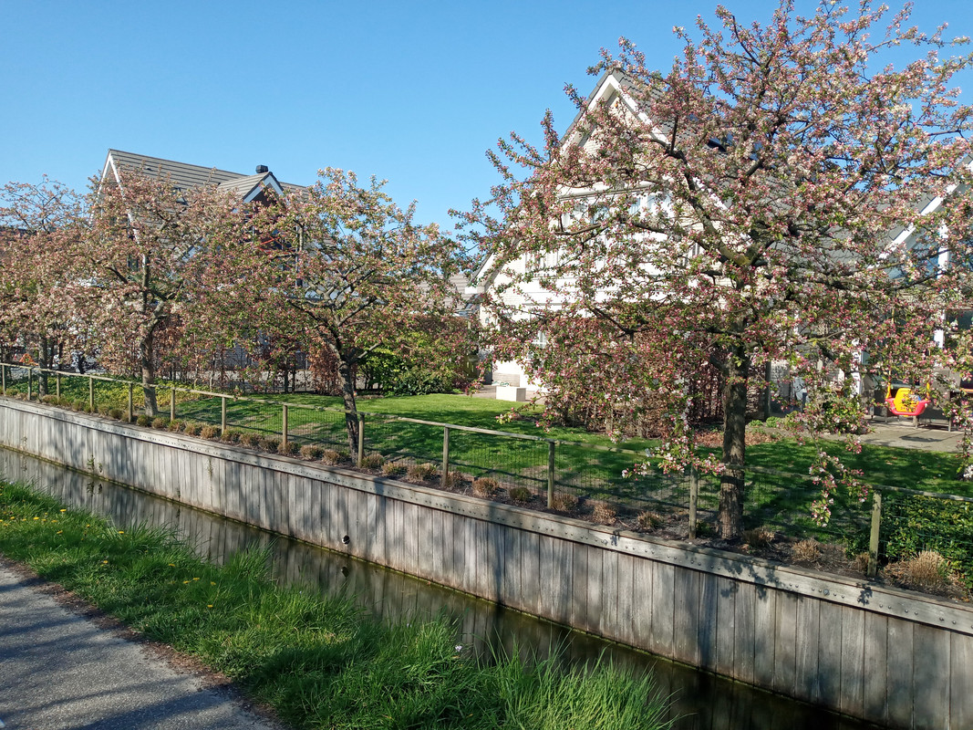 [Image: 20210427-164557.jpg]
