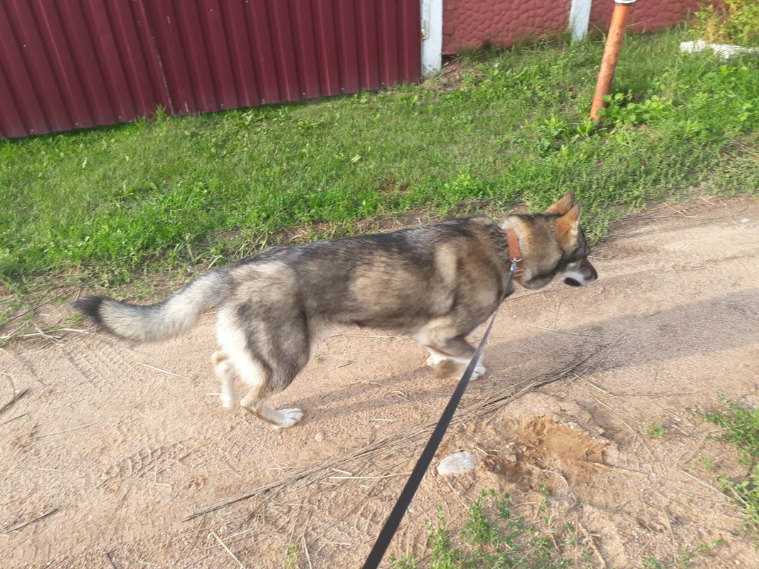 изображение_viber_2019-07-27_20-35-27