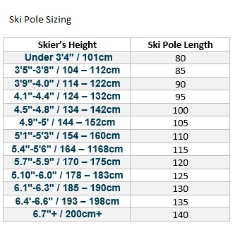 2021 Salomon Arctic Ski Poles Black