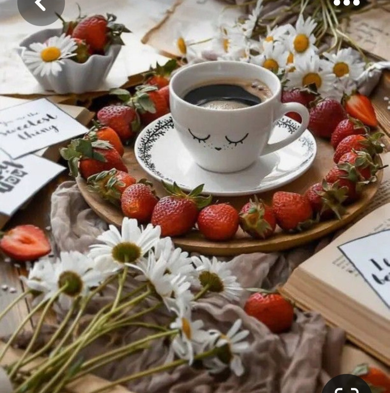 Screenshot_20230528_212611_Pinterest