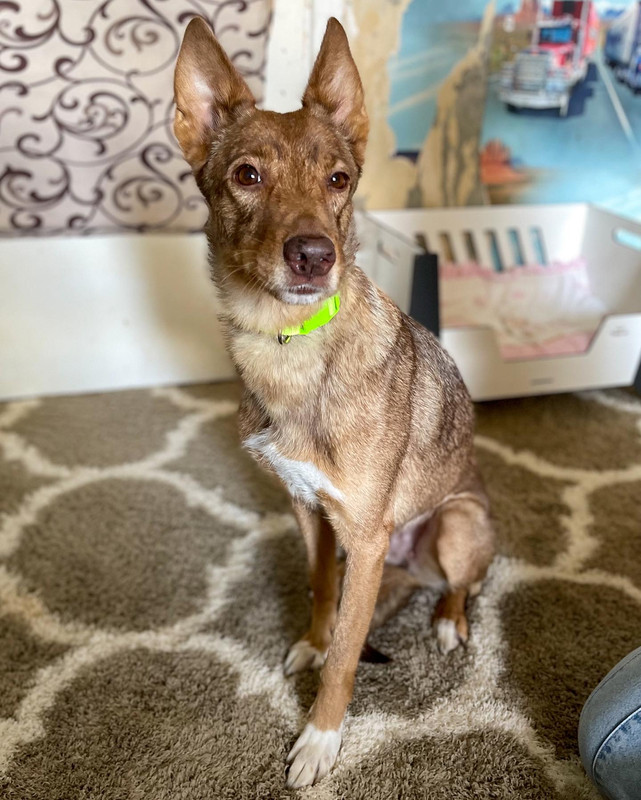 C446D5EB-7EDD-46E1-B47C-C9A2B216B90C