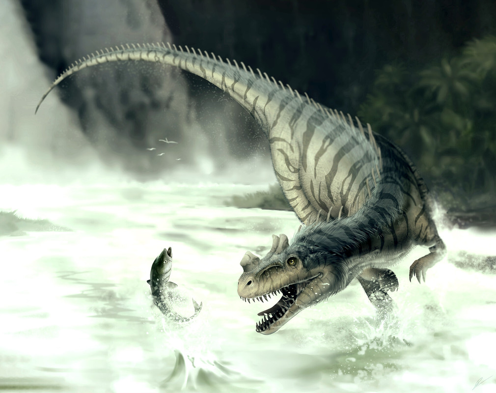 ruben-da-silva-ceratosaurusnasicornis