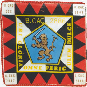 BCac2886