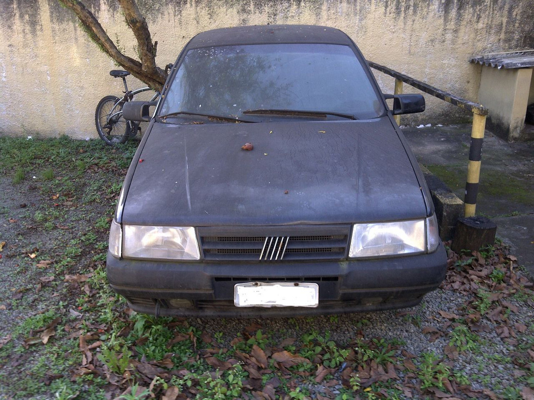 tempra (3)