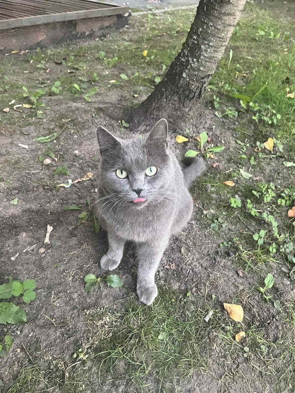 IMG-e598992a8a2c793868e926e2f64136e1-V