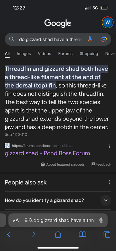 IMG-5484.png