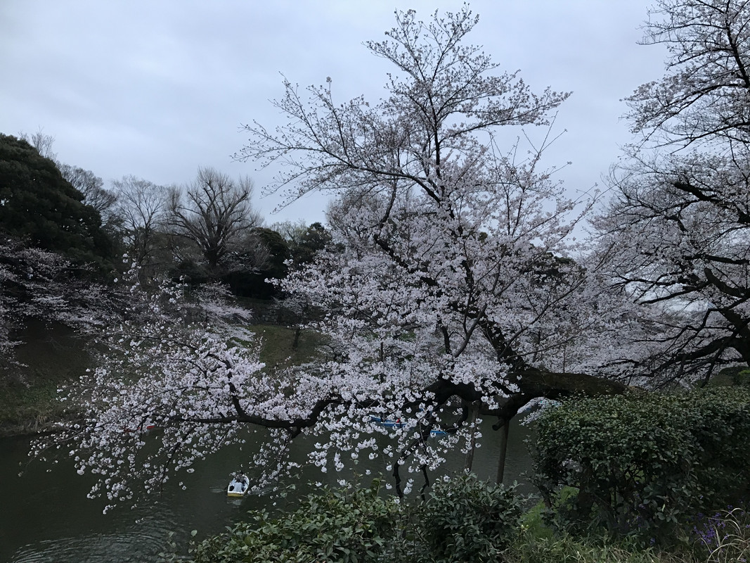 3C283250-B2B0-421B-962F-1BD3DBBE6A0A