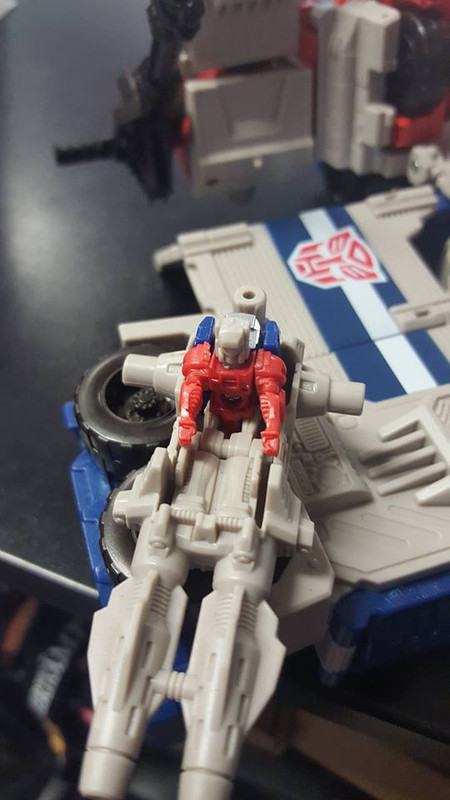 13330324_1030820147009527_500113866_n