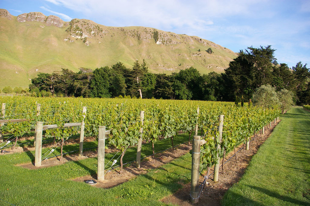 междурядье1