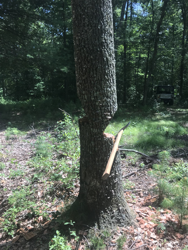 E3022AAB-4D87-44FD-965F-47A75A3F3239