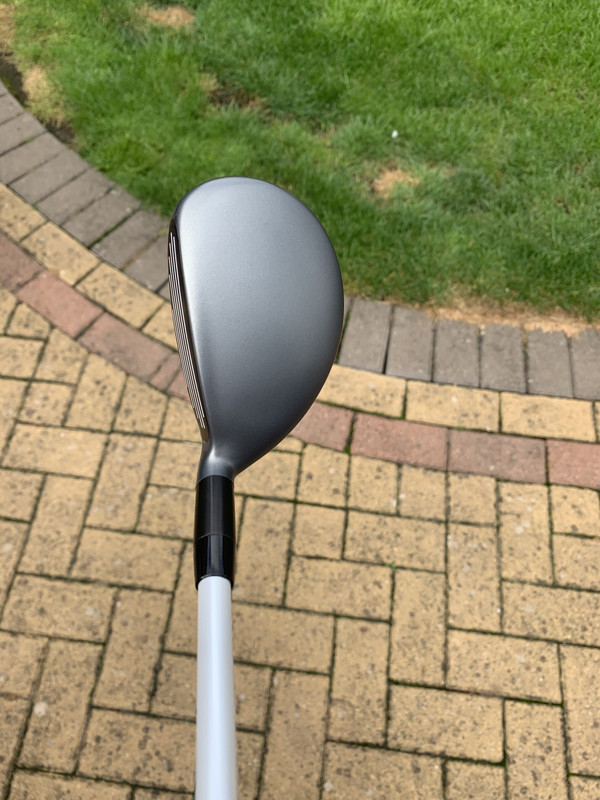 9E9387E0-CC9C-4F61-BA76-E12A4DB16FC1