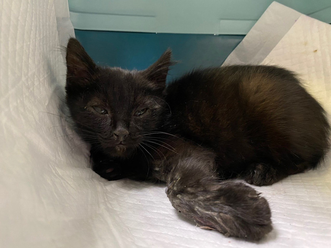 D48964FA-2A27-40AB-A14A-26582F864723