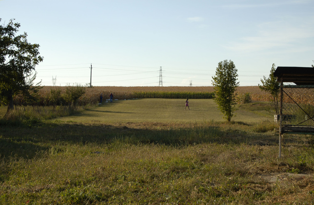 Maisernte über meine Wiese (1)
