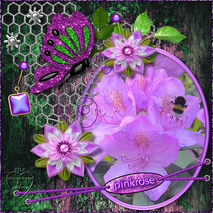 An den Beitrag angehängtes Bild: https://i.postimg.cc/43fvgt8C/WT-GITTER-TEMPLATE-2014-pinkrose2.jpg