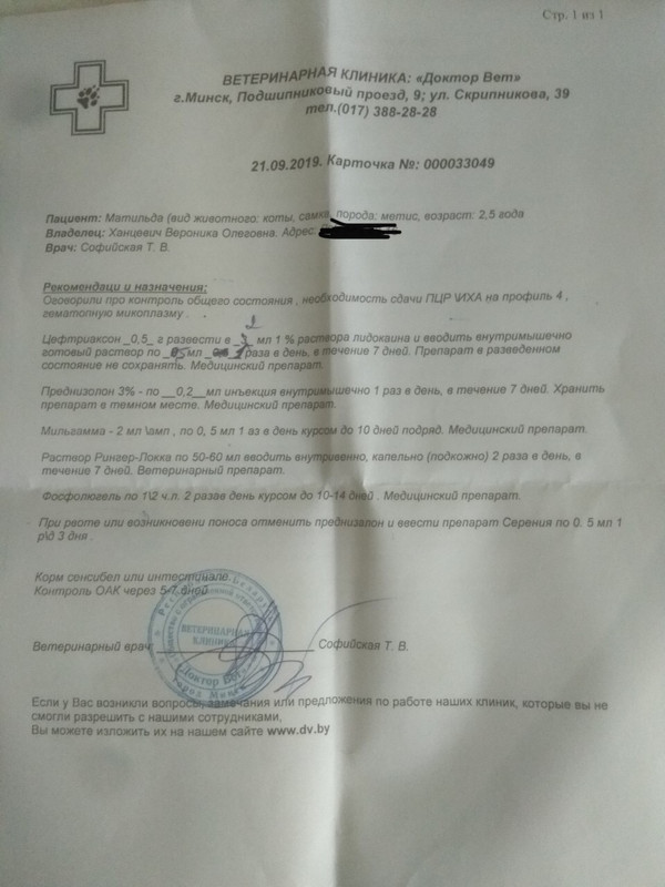 E0FBB9A6-DBD8-4237-9409-642AB2DD0E2B