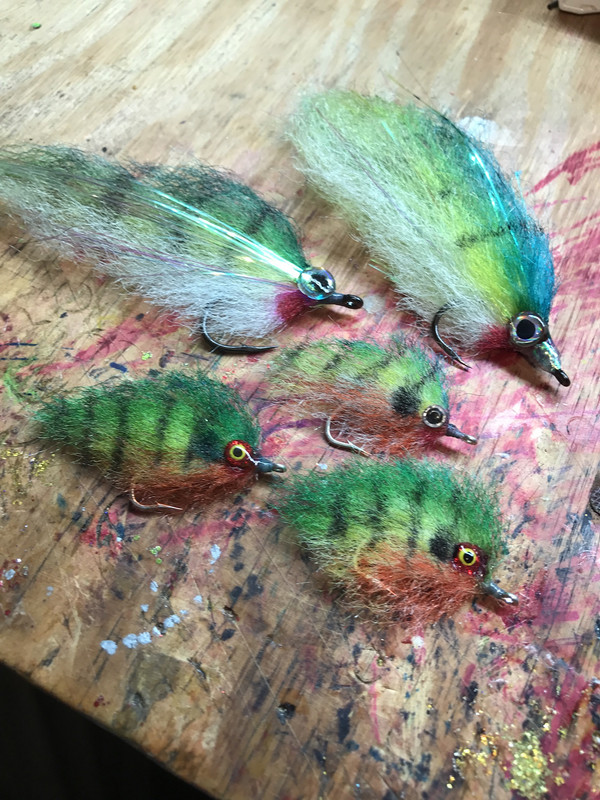 6CD77747-24DB-4B69-822C-3CFB28FD3F88