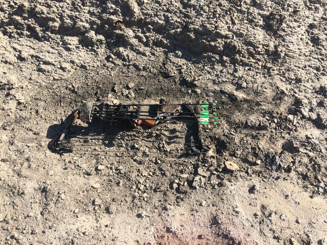 1DCE0747-6002-417D-AC78-80425CEBC7AD