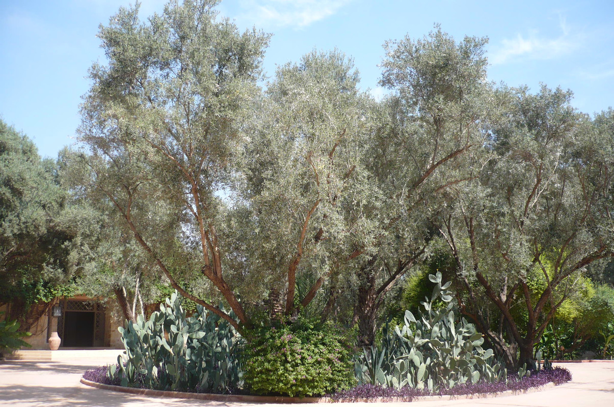 Hotel La Gazelle d'Or - Taroudant, Hotel-Marruecos (25)
