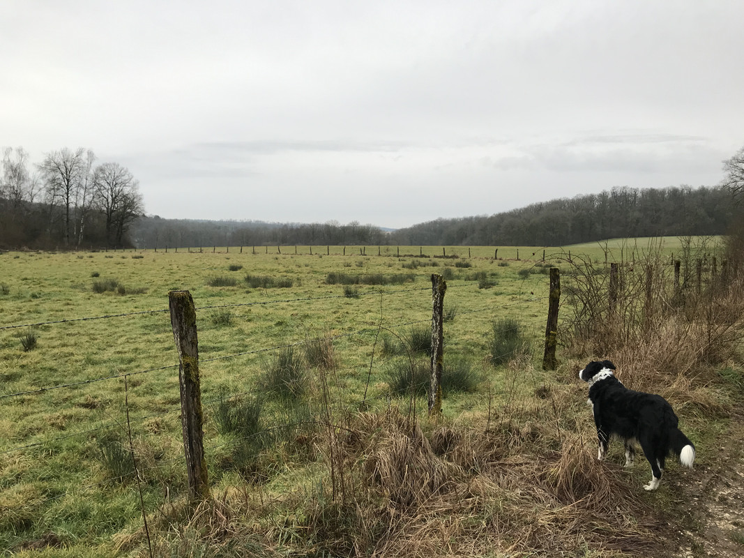 749197E2-3A5E-4CC1-A277-257E833A8A44