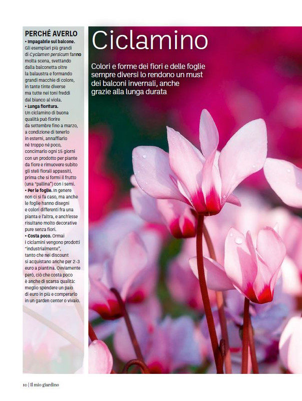 Il Mio Giar Dic 2023-Gen 2024 (3)