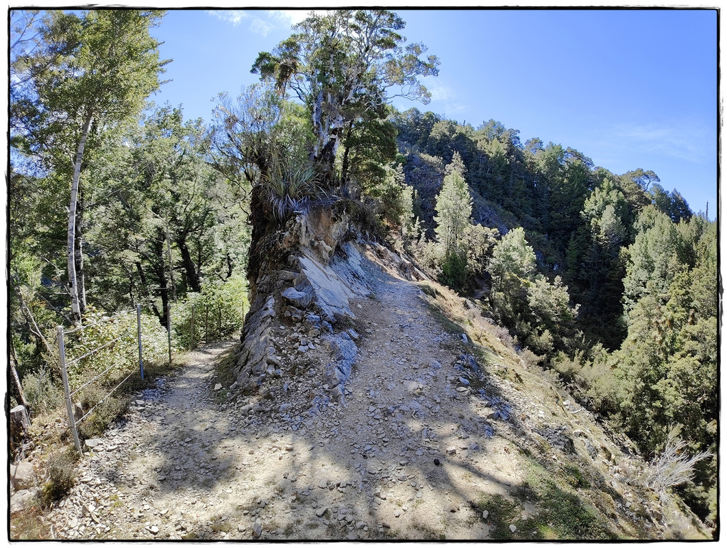 The Old Ghost Road (marzo 2024) - Escapadas y rutas por la Nueva Zelanda menos conocida (52)