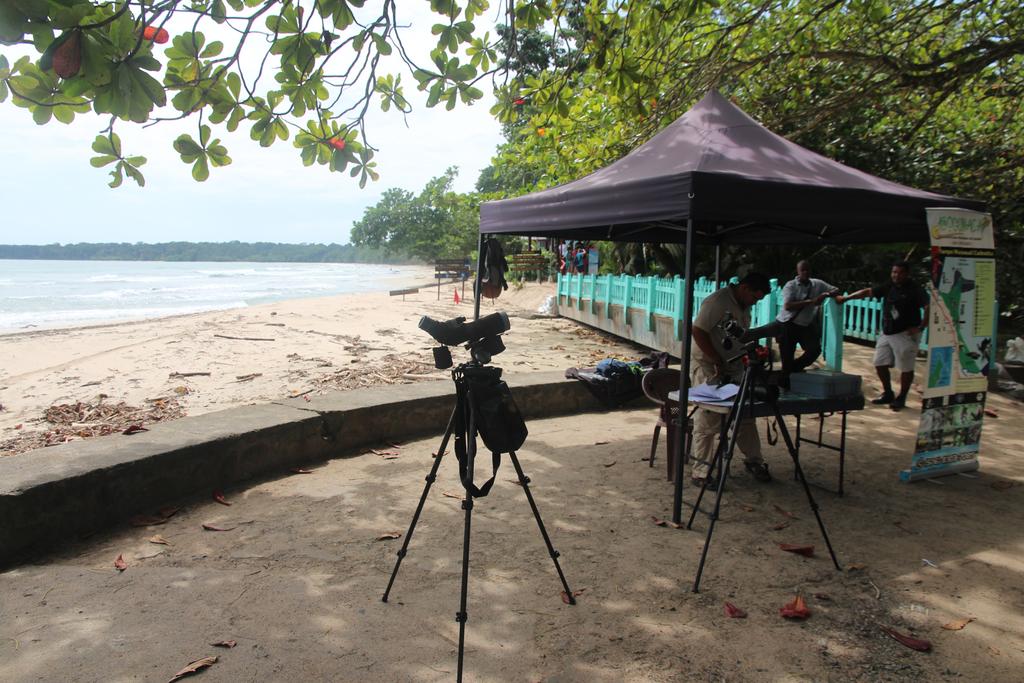DE TORTUGAS Y PEREZOSOS. COSTA RICA 2019 - Blogs de Costa Rica - DÍA 5: PARQUE NACIONAL CAHUITA (2)