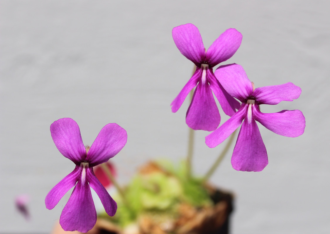 969860DD-D965-4F3E-8DCB-EB37EB99DA00