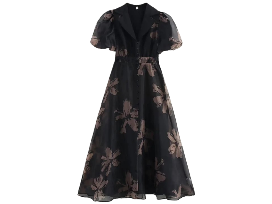 Zara Dress