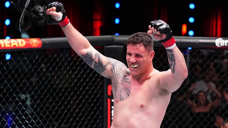 Джоната Диниз срещу Витор Петрино на UFC 313
