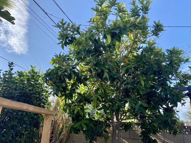 [Image: 8853-D17-B-20-D5-431-B-BD6-C-D5-F6-F307-BFD7.jpg]