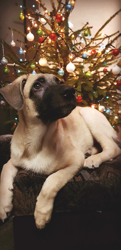 850B37D7-0F00-402D-80B2-99DB09D9F0DE