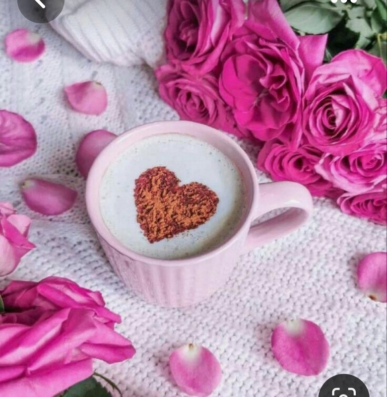 Screenshot_20230717_234844_Pinterest