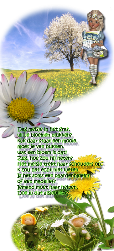 bloemen-plukken