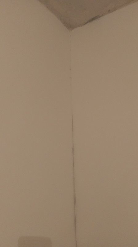 IMAG6524