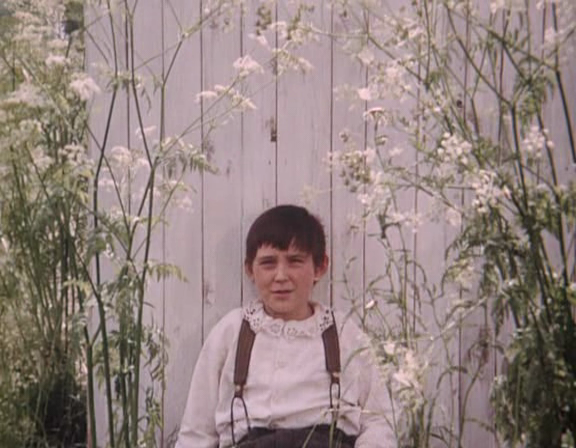 vlcsnap-2017-04-06-12h31m24s563