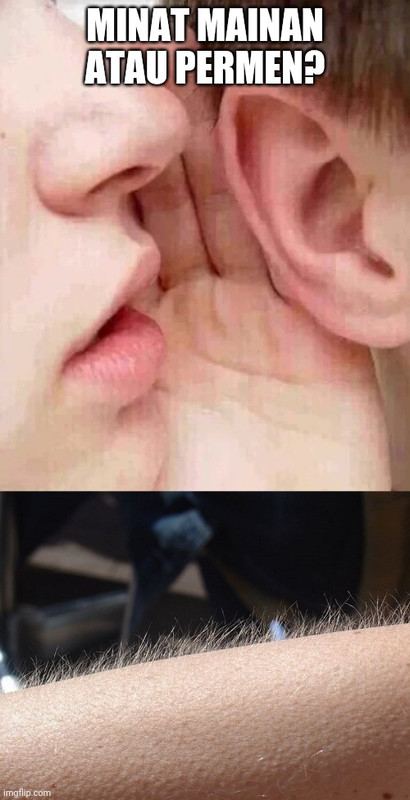 4x0fwj.jpg