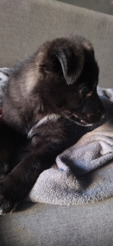 FB61D3F0-7BA8-475E-80D6-5CC265E120B6