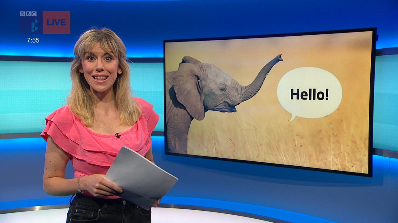 Newsround_20211108_07450755.ts_snapshot_11.49.819