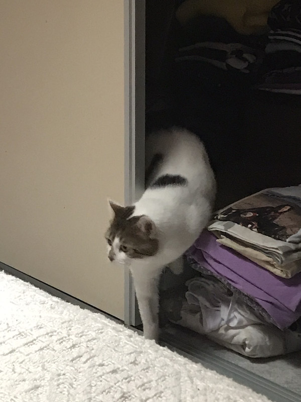 31ABD102-32C0-4353-93F8-BC568A96B6B3