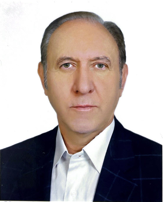 مهندس محمد حسین امامی