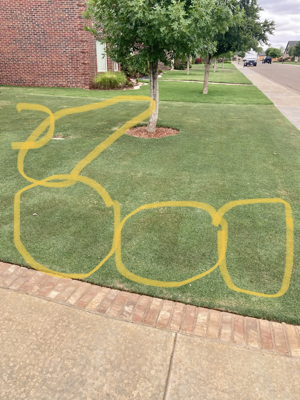 36517E1B-EB5D-4920-A985-1926CB9233FC