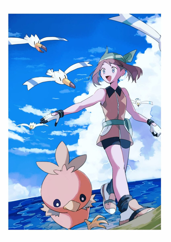 may-torchic-and-wingull-pokemon-and-3-mo