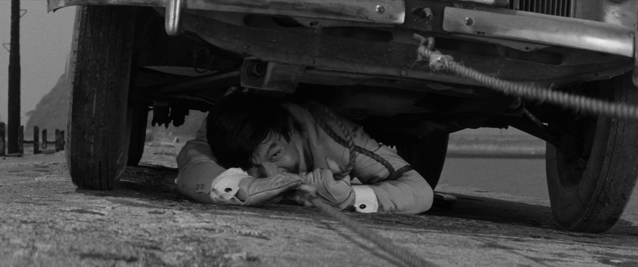 vlcsnap-2025-01-21-03h05m43s375