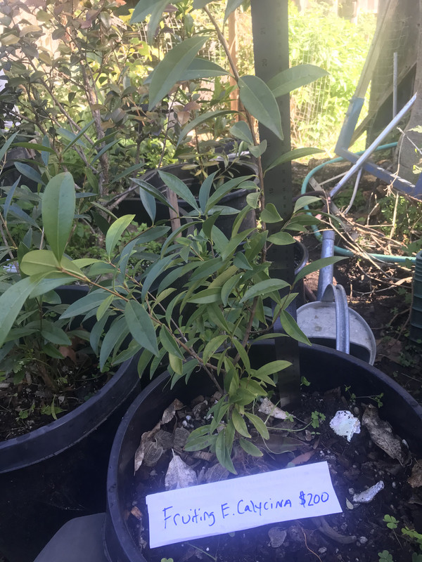 9230F2B4-97DA-4C53-944E-D570A57ED244